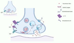 Neurotoxins